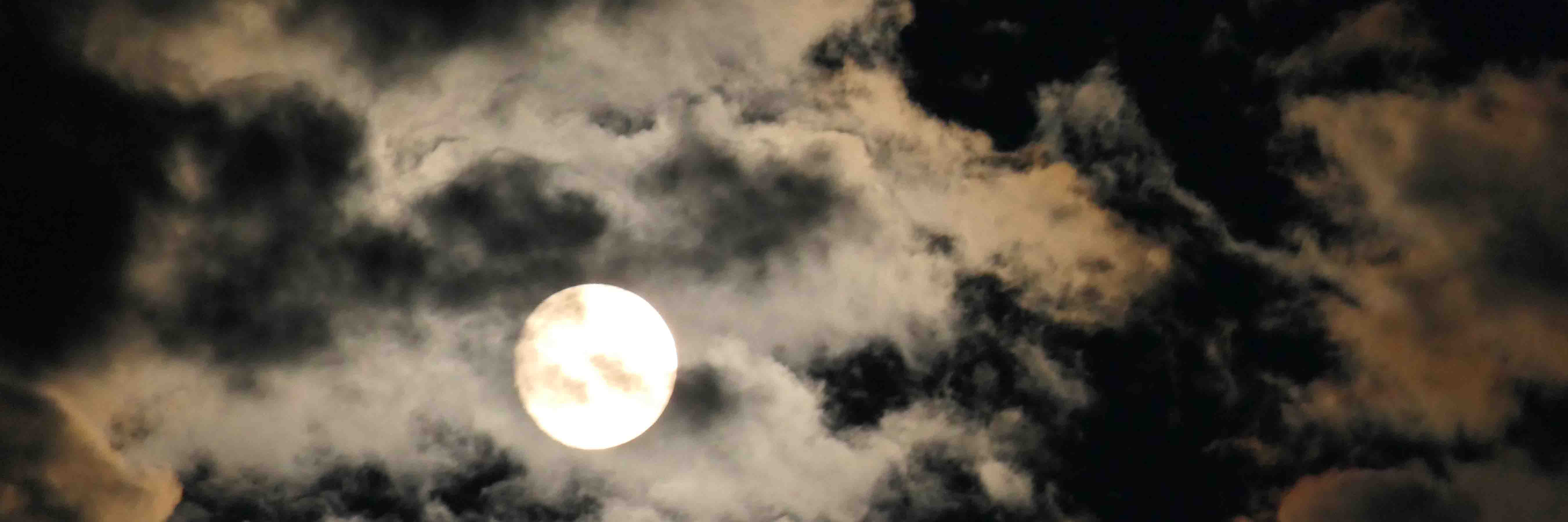 Dobler_Lambert Risikomanagement